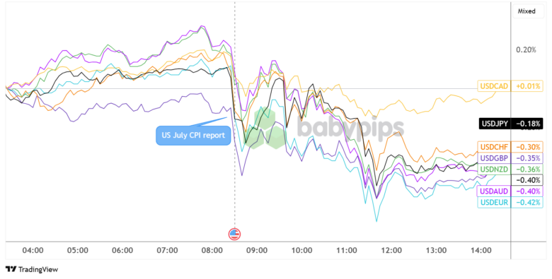 Dollar Weakened As U.S. July CPI Report Reflected Limited Tariffs Impact