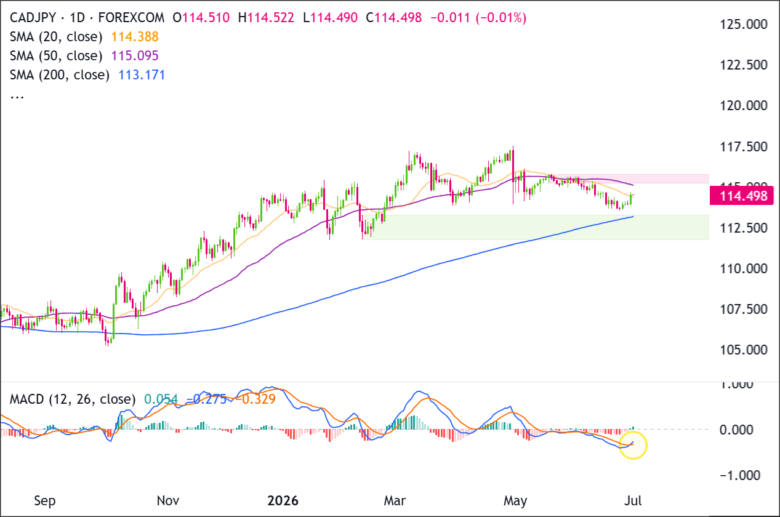 CAD/JPY Daily Chart 206-06-30