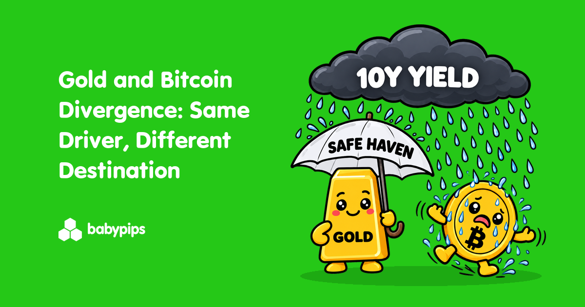Gold and Bitcoin Divergence: Same Driver, Different Destination